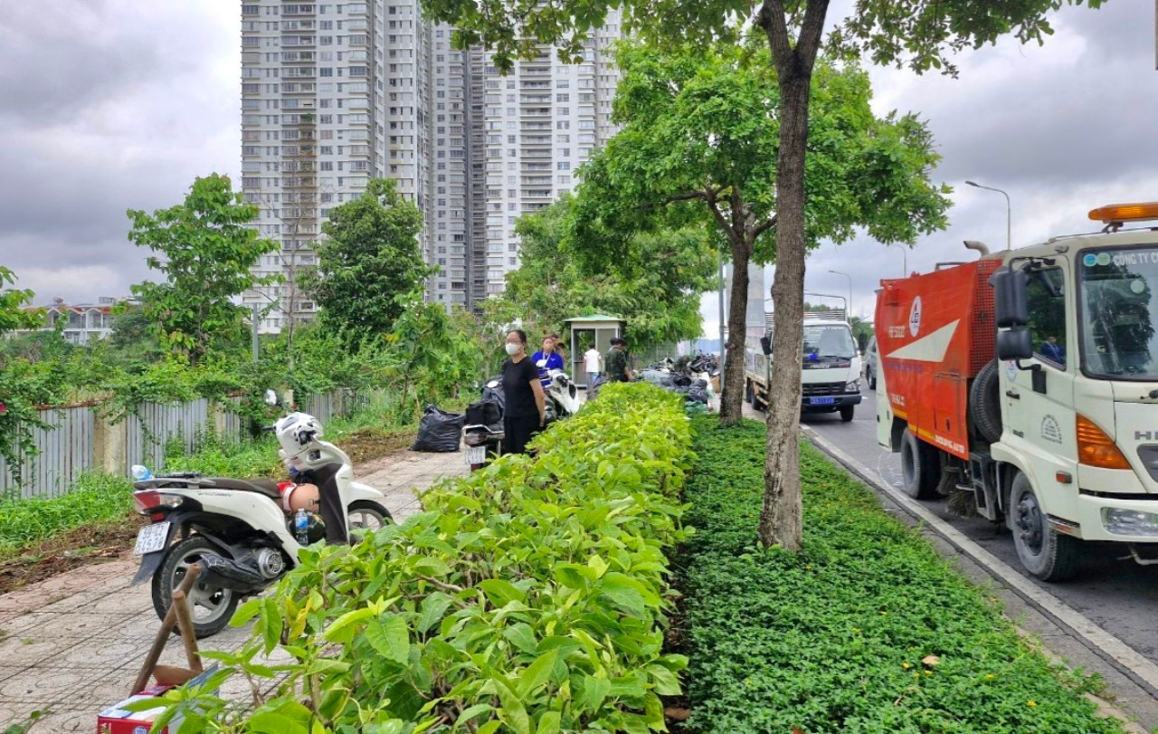 Các lượng lực phối hợp tạo cảnh quan ven kênh, rạch.