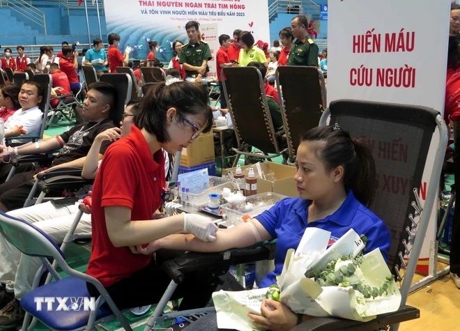 Nhiều thanh niên tham gia hiến máu. (Ảnh: Quân Trang/TTXVN) Nhiều thanh niên tham gia hiến máu. (Ảnh: Quân Trang/TTXVN)