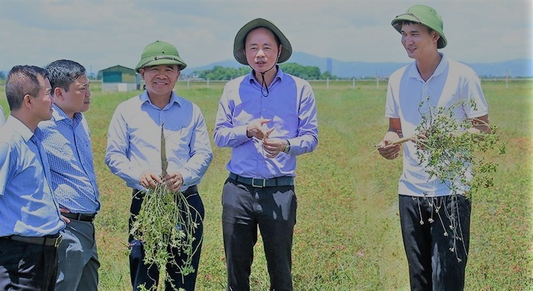 Đoàn đến kiểm tra dự án “Ứng dụng khoa học công nghệ xây dựng mô hình trồng thử nghiệm cây sâm bố chính (Hibiscus sagittifolius Kurz).