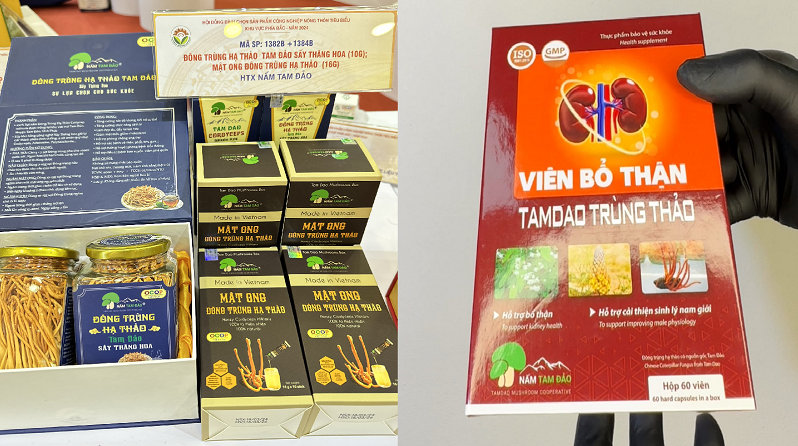 Hợp tác xã Nấm Tam Đảo khôi phục nghề trồng dâu nuôi tằm, tạo sinh kế cho hàng trăm hộ dân