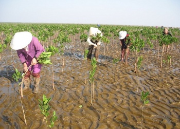 viet nam keu goi giai quyet van de bien doi khi hau