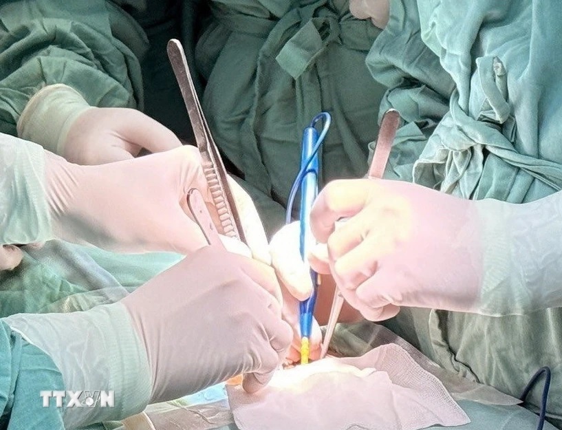 Ảnh minh họa. (Ảnh: TTXVN phát) Ảnh minh họa. (Ảnh: TTXVN phát)