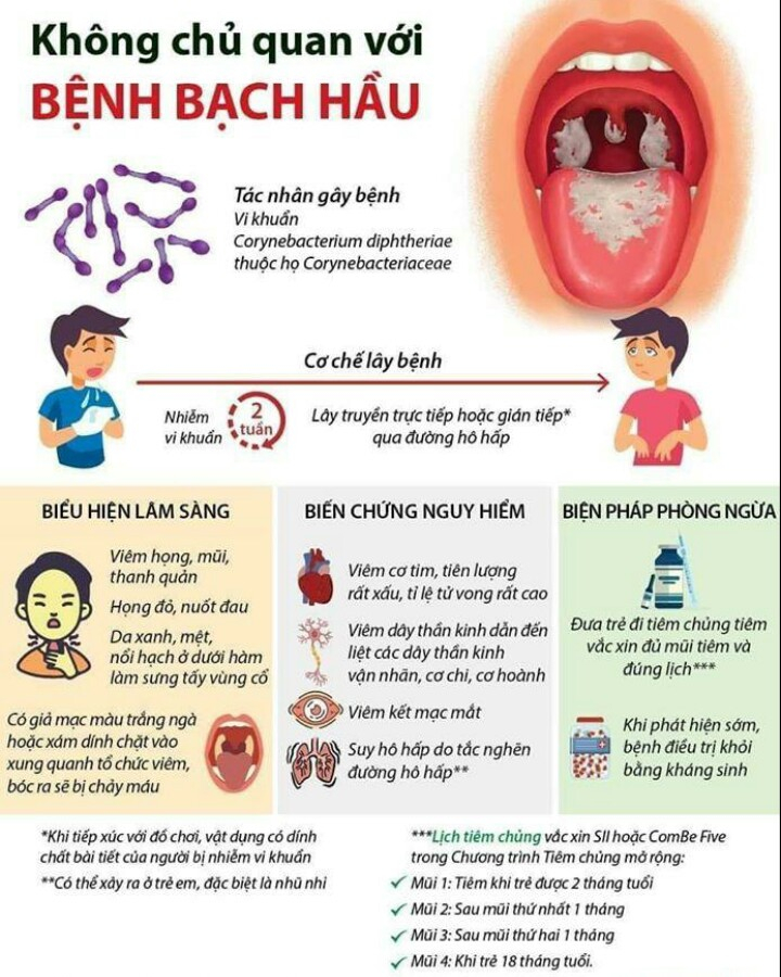 Tăng cường phòng chống bệnh bạch hầu Tăng cường phòng chống bệnh bạch hầu