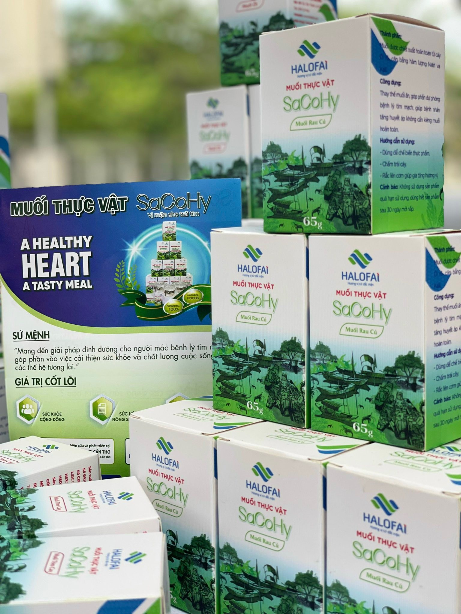 SaCoHy - Vị mặn cho trái tim
