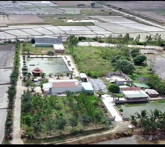 Vẫn tồn tại tình trạng xây dựng nhà ở, nhà yến trái phép trên đất nông nghiệp