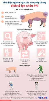 thuc hien nghiem cac bien phap phong dich ta lon chau phi