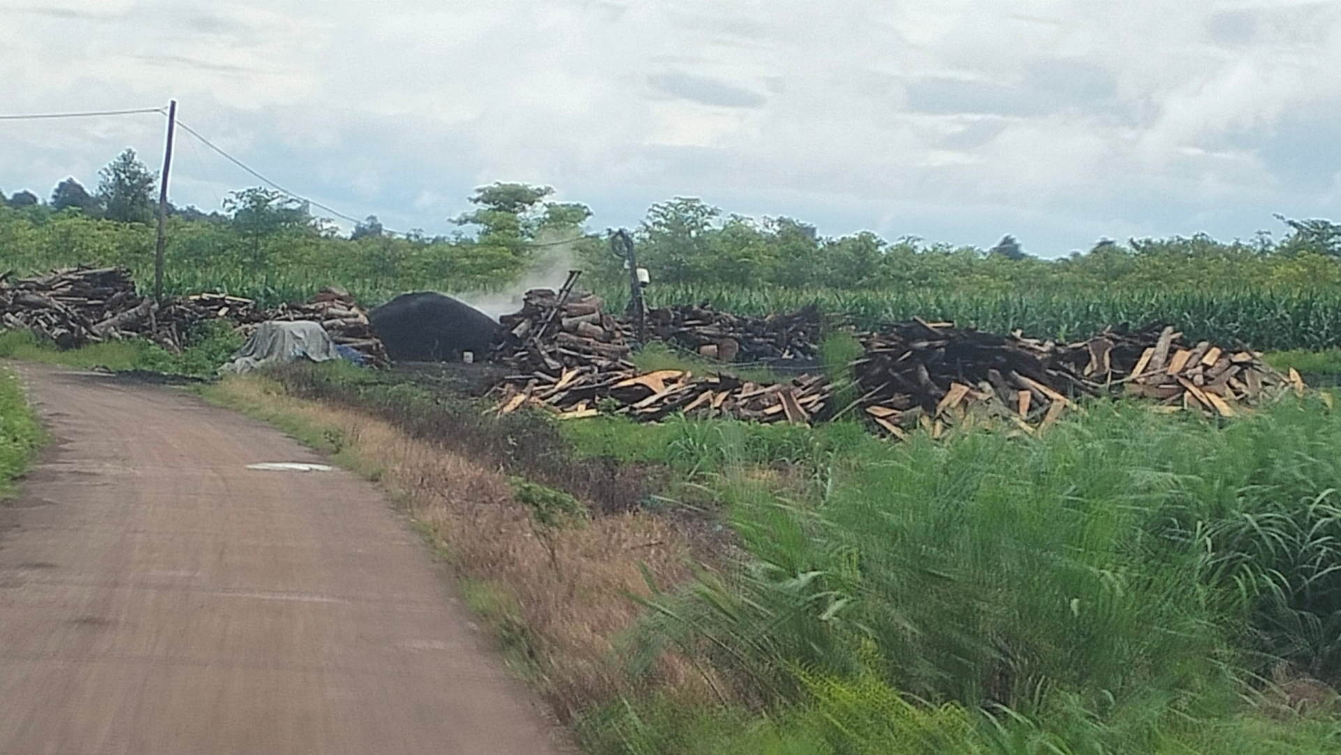 Hoạt động của các lò than tác động tiêu cực đến cây trồng của người dân