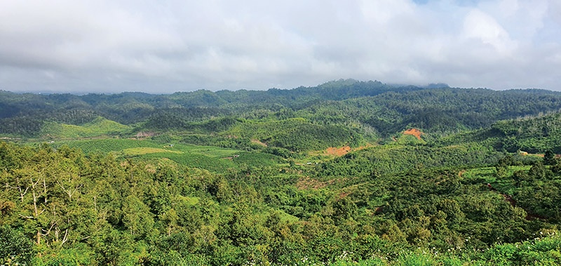 Triển khai Luật Bảo vệ môi trường: Đẩy mạnh phân cấp, phân quyền cho địa phương Triển khai Luật Bảo vệ môi trường: Đẩy mạnh phân cấp, phân quyền cho địa phương