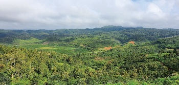 trien khai luat bao ve moi truong day manh phan cap phan quyen cho dia phuong