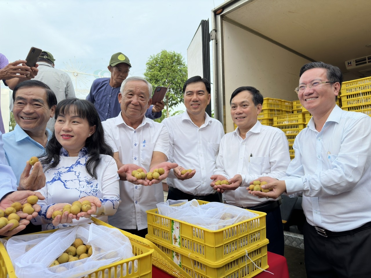 Cần Thơ xuất khẩu lô thanh nhãn sang thị trường Hoa kỳ và Australia