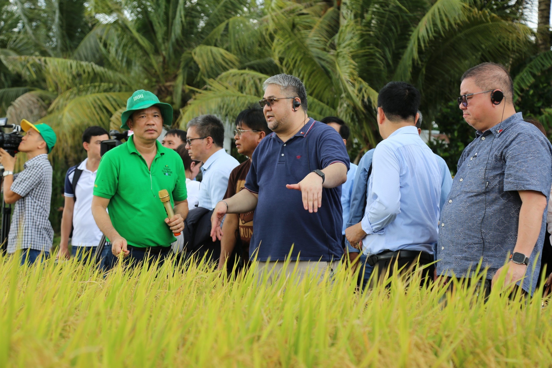 Cần Thơ: Đề án 1 triệu hecta lúa ở ĐBSCL sẽ giảm ô nhiễm môi trường, giảm phát thải khí nhà kính