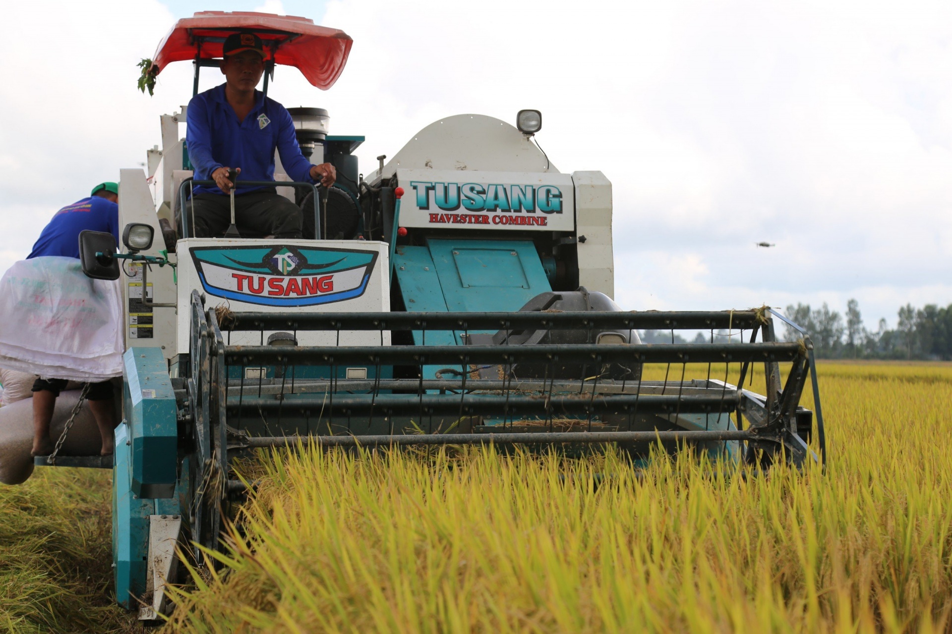 Nâng cao năng lực, xây dựng thương hiệu gạo Carbon Nâng cao năng lực, xây dựng thương hiệu gạo Carbon