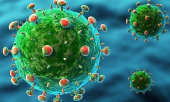 hai ca tu vong dau tien tren the gioi do virus oropouche