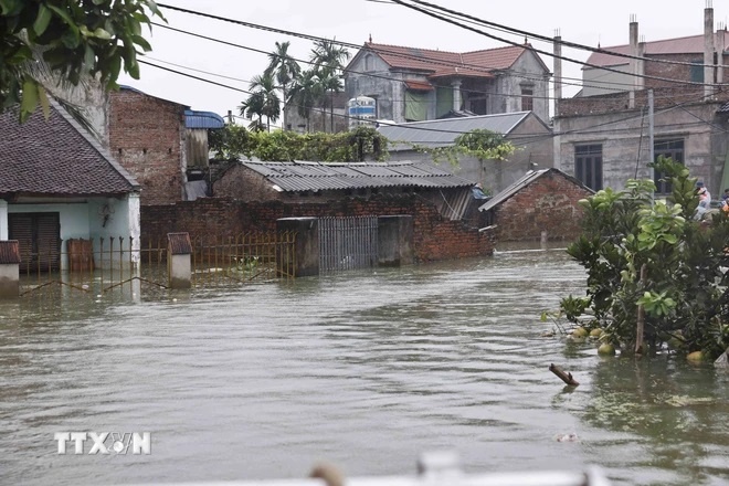 Quang cảnh ngập lụt tại Thôn Nhân Lý, xã Nam Phương Tiến, huyện Chương Mỹ. (Ảnh: Doãn Tấn/TTXVN)