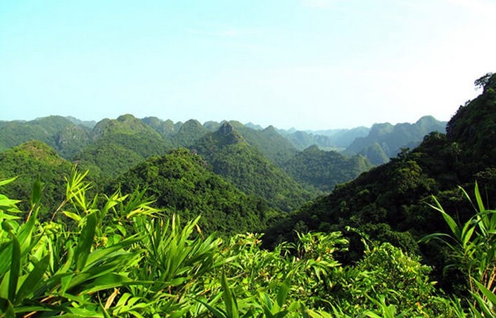 Nghệ An: 35 cộng đồng dân cư sẽ được hưởng lợi nguồn thu từ thỏa thuận chi trả giảm phát thải khí nhà kính vùng Bắc Trung Bộ (ERPA)