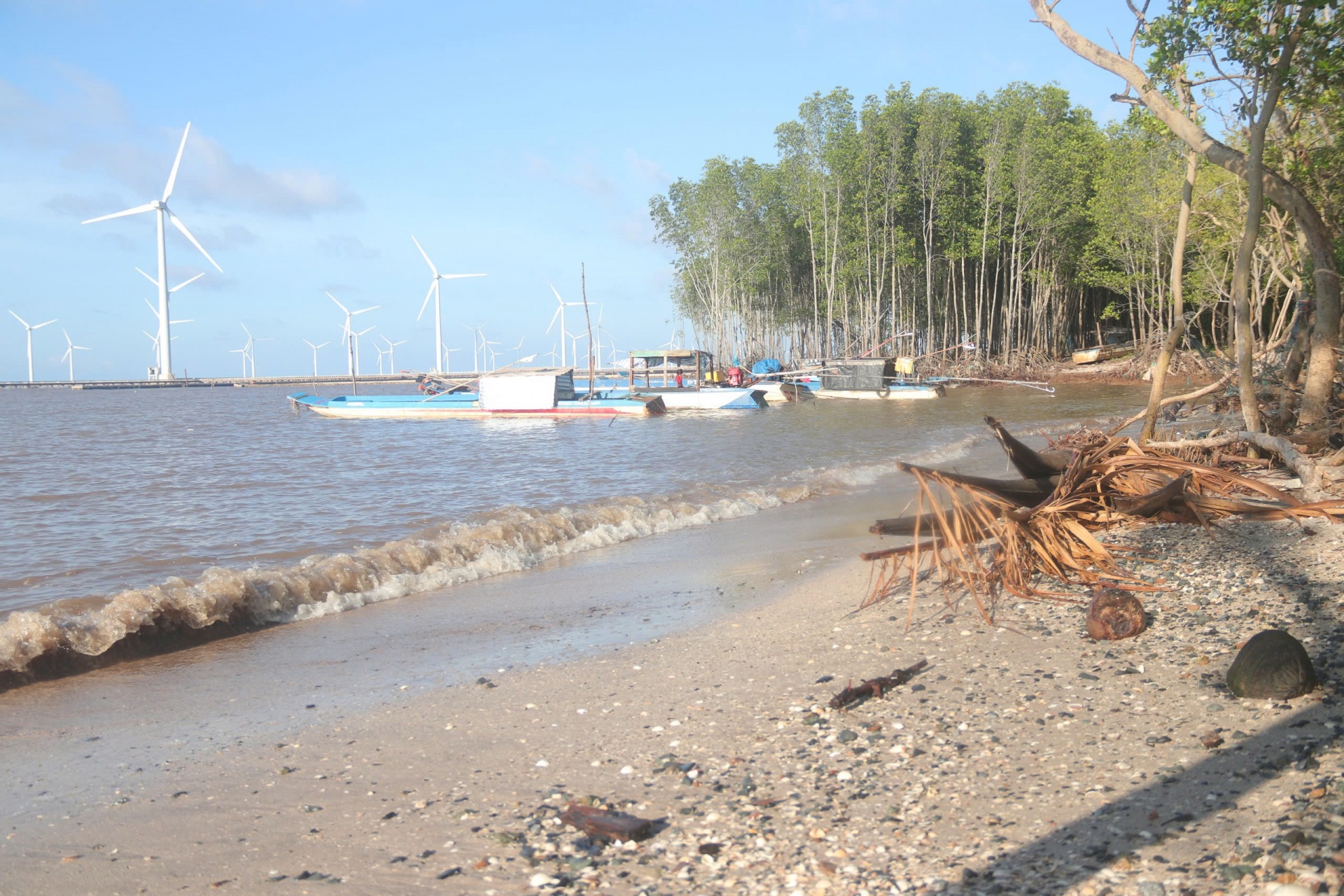 Phó Thủ tướng Trần Lưu Quang kiểm tra sạt lở tại Bạc Liêu