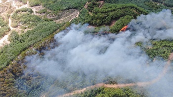 chay rung thong o quang trach quang binh co ban da duoc dap tat