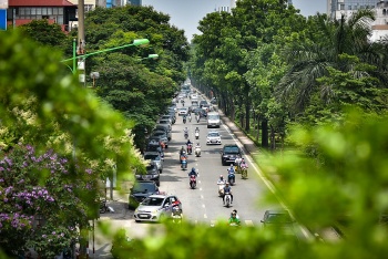 ha noi can som quy hoach tong the va ban hanh danh muc chung loai cay xanh do thi