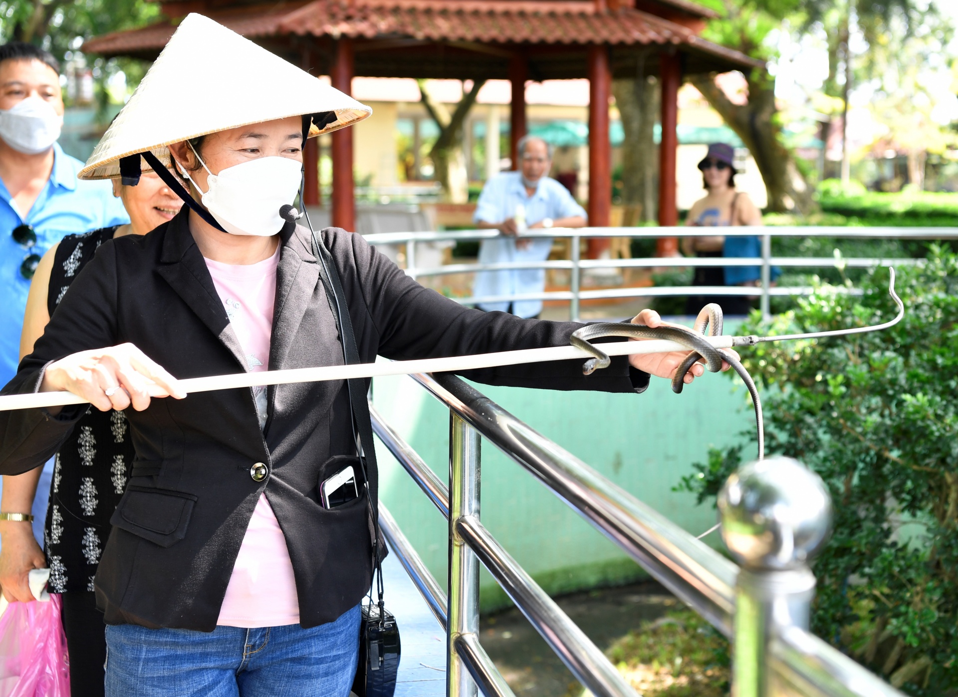 Ghé thăm trại rắn lớn nhất cả nước