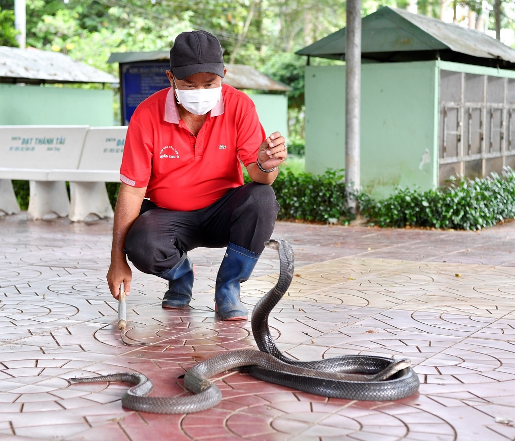 Ghé thăm trại rắn lớn nhất cả nước