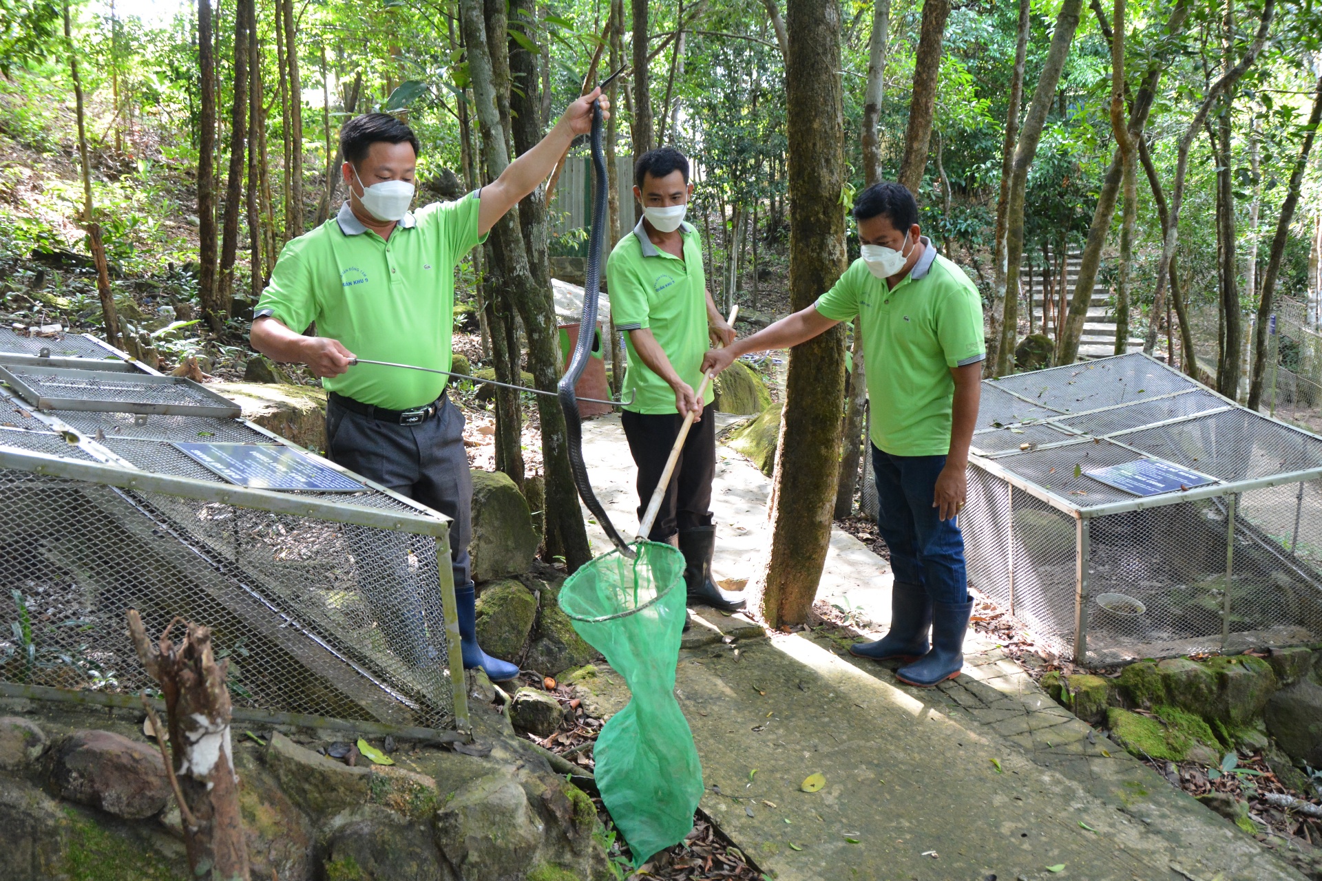 Ghé thăm trại rắn lớn nhất cả nước