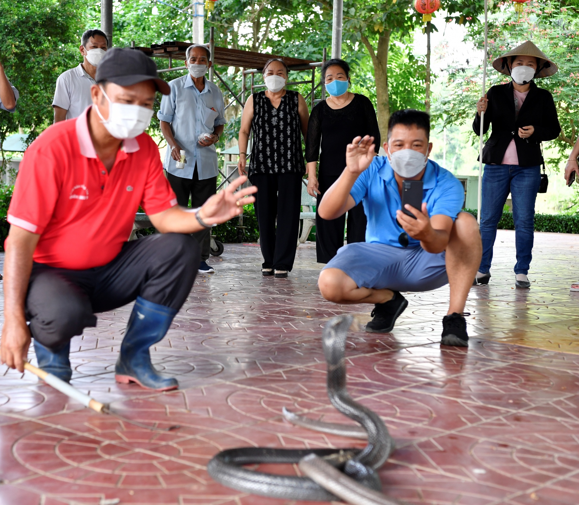 Ghé thăm trại rắn lớn nhất cả nước