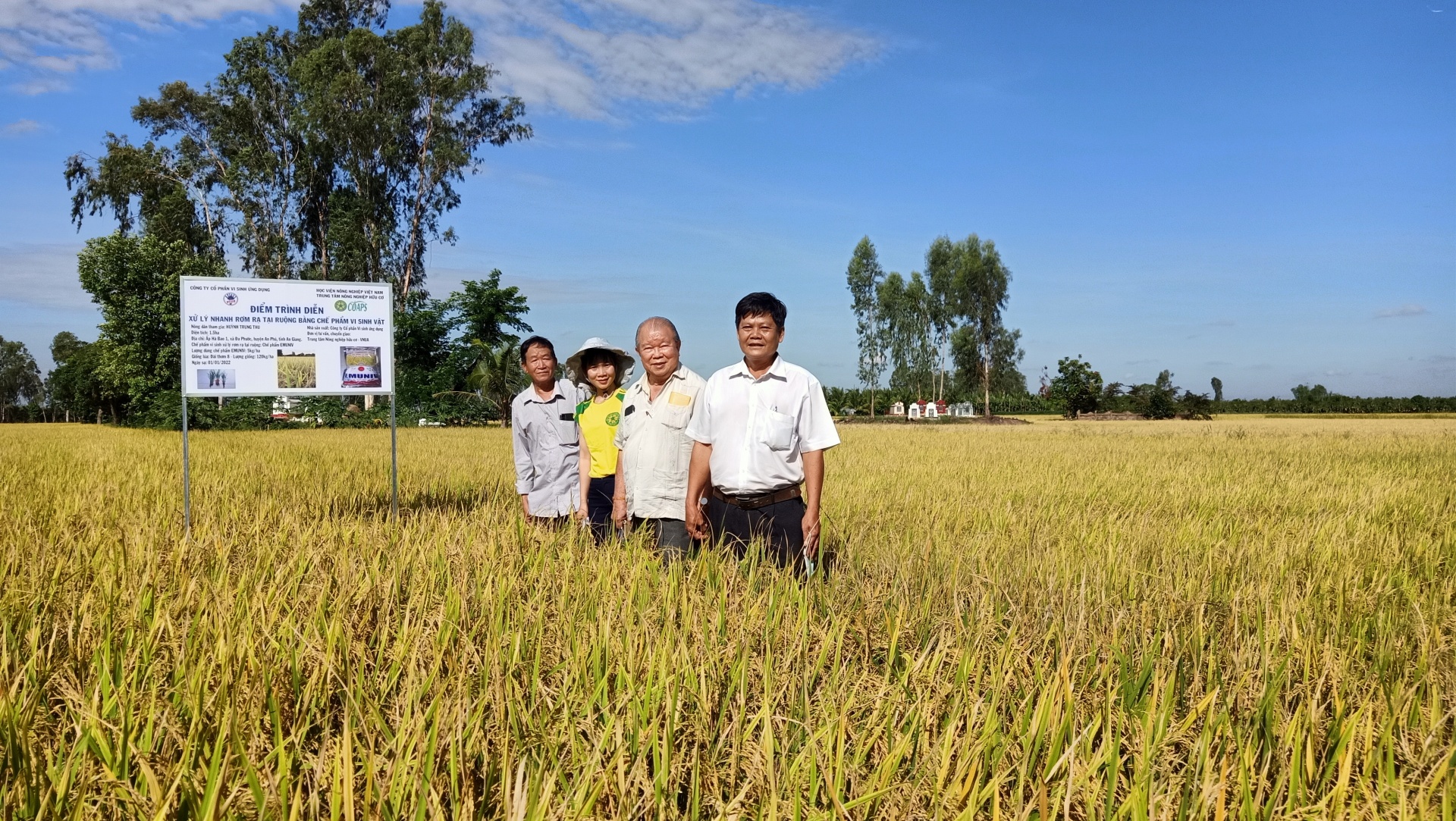 GSTS Võ Tòng Xuân (thứ hai từ phải qua) cùng nông dân trên đồng ruộng An Giang.
