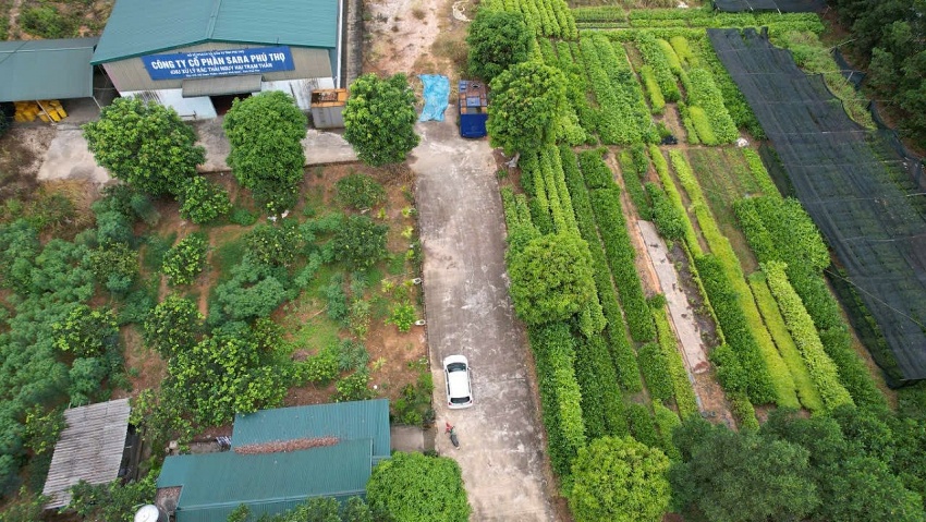 Phú Thọ: Công ty xả khí độc ra môi trường bị xử phạt 854 triệu đồng Phú Thọ: Công ty xả khí độc ra môi trường bị xử phạt 854 triệu đồng