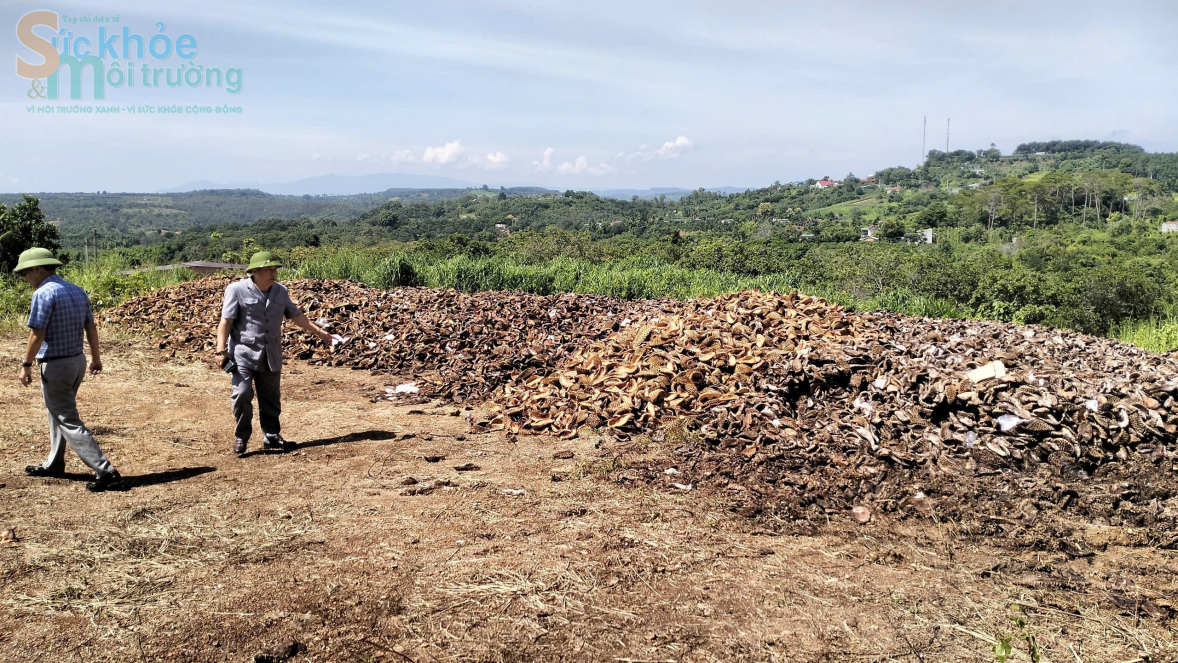 Đắk Nông: Ô nhiễm môi trường từ vỏ sầu riêng của Công ty TNHH xuất nhập khẩu nông sản Hoàng Sang