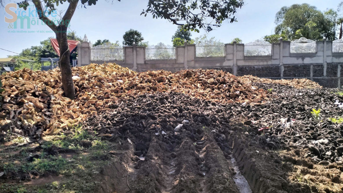 Đắk Nông: Ô nhiễm môi trường từ vỏ sầu riêng của Công ty TNHH xuất nhập khẩu nông sản Hoàng Sang