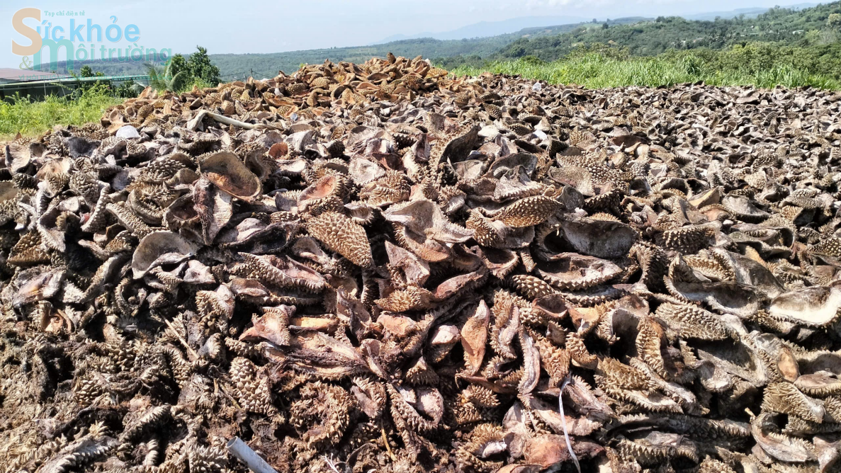 Đắk Nông: Ô nhiễm môi trường từ vỏ sầu riêng của Công ty TNHH xuất nhập khẩu nông sản Hoàng Sang