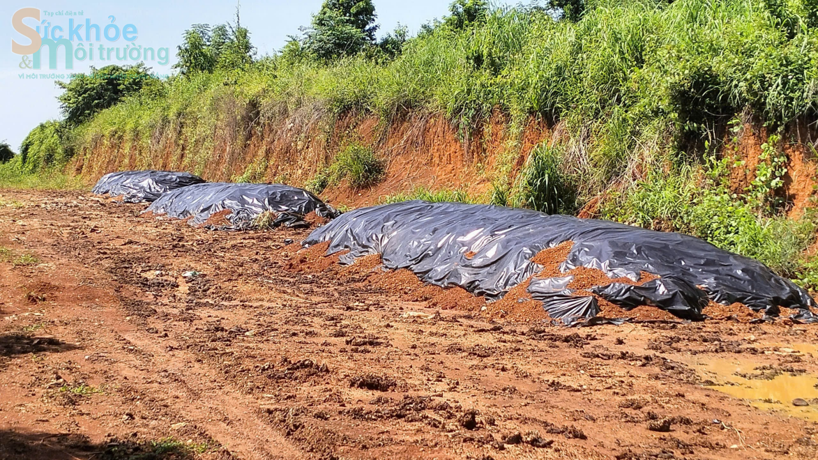 Đắk Nông: Ô nhiễm môi trường từ vỏ sầu riêng của Công ty TNHH xuất nhập khẩu nông sản Hoàng Sang
