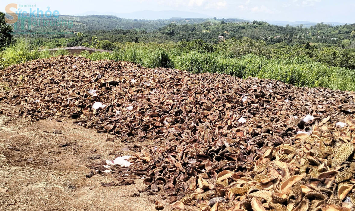 Đắk Nông: Ô nhiễm môi trường từ vỏ sầu riêng của Công ty TNHH xuất nhập khẩu nông sản Hoàng Sang