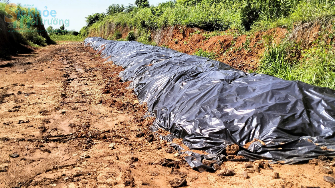 Đắk Nông: Ô nhiễm môi trường từ vỏ sầu riêng của Công ty TNHH xuất nhập khẩu nông sản Hoàng Sang