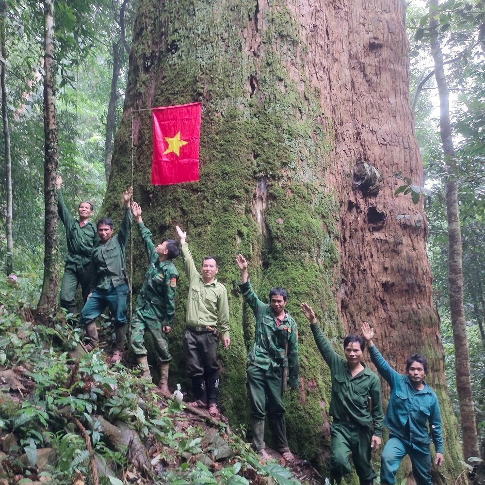 Kỳ vọng lớn từ những cánh rừng cộng đồng ở miền Tây xứ Nghệ