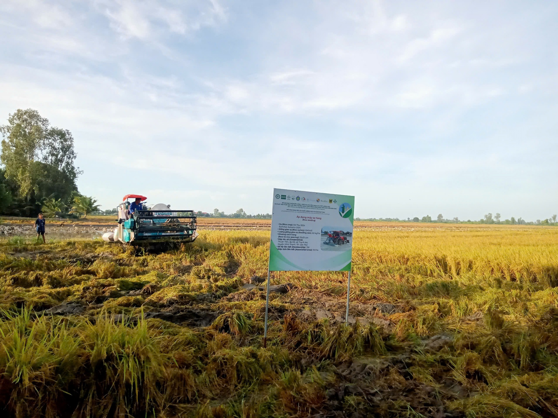 Trồng lúa và câu chuyện bảo vệ môi trường ở vùng Đồng bằng Cửu Long