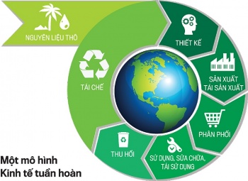 xay dung chi so kinh te tuan hoan tai viet nam