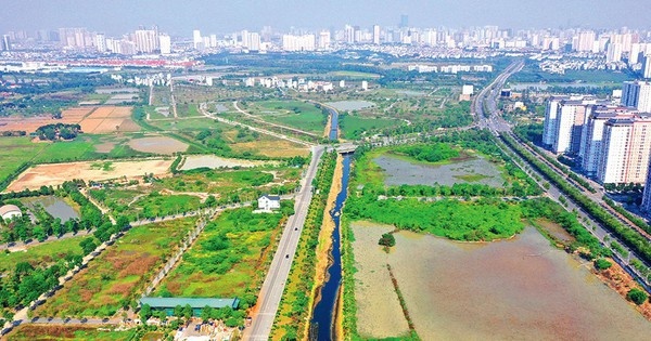 Triệt để xử lý vi phạm đất đai