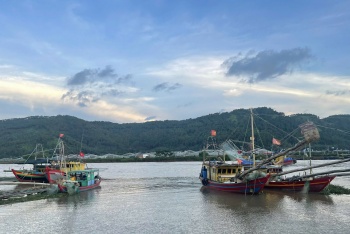 thanh hoa hon 5200 tau thuyen neo dau an toan tranh bao yagi