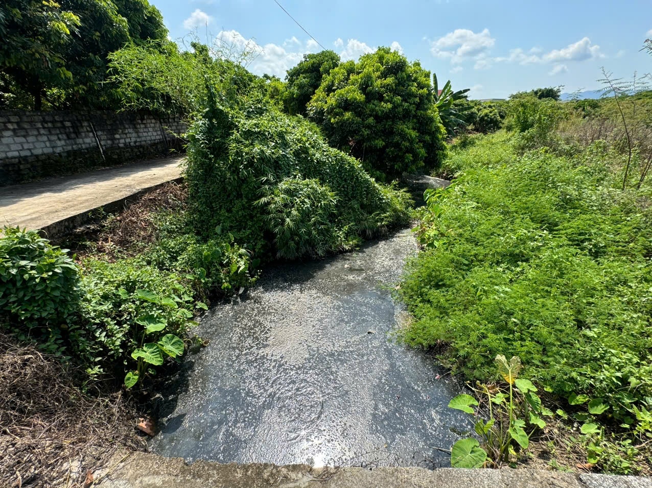 Người dân mong muốn các cơ quan chức năng sớm vào cuộc giải quyết thực trạng ô nhiễm môi trường nhiều năm qua từ chất thải chăn nuôi của trang trại lợn (Ảnh: Tiến Minh) Người dân mong muốn các cơ quan chức năng sớm vào cuộc giải quyết thực trạng ô nhiễm môi trường nhiều năm qua từ chất thải chăn nuôi của trang trại lợn (Ảnh: Tiến Minh)