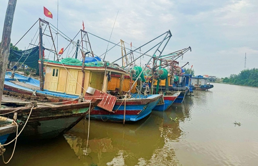 Thái Bình huy động toàn lực ứng phó với siêu bão Yagi Thái Bình huy động toàn lực ứng phó với siêu bão Yagi