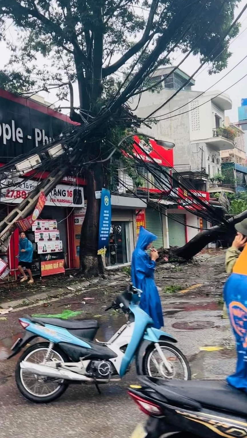 Bão số 3 (Yagi) vào Hà Nội kèm theo mưa to, gió giật mạnh