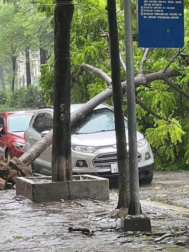 Bão số 3 (Yagi) vào Hà Nội kèm theo mưa to, gió giật mạnh Bão số 3 (Yagi) vào Hà Nội kèm theo mưa to, gió giật mạnh