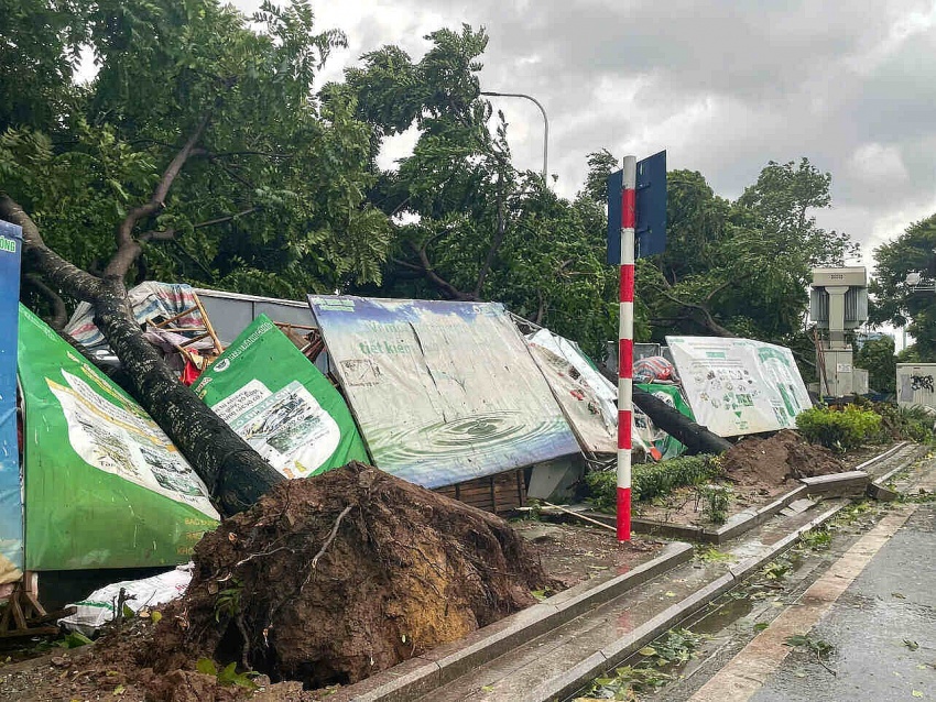 Đường phố Hà Nội tan hoang sau bão số 3 càn quét Đường phố Hà Nội tan hoang sau bão số 3 càn quét
