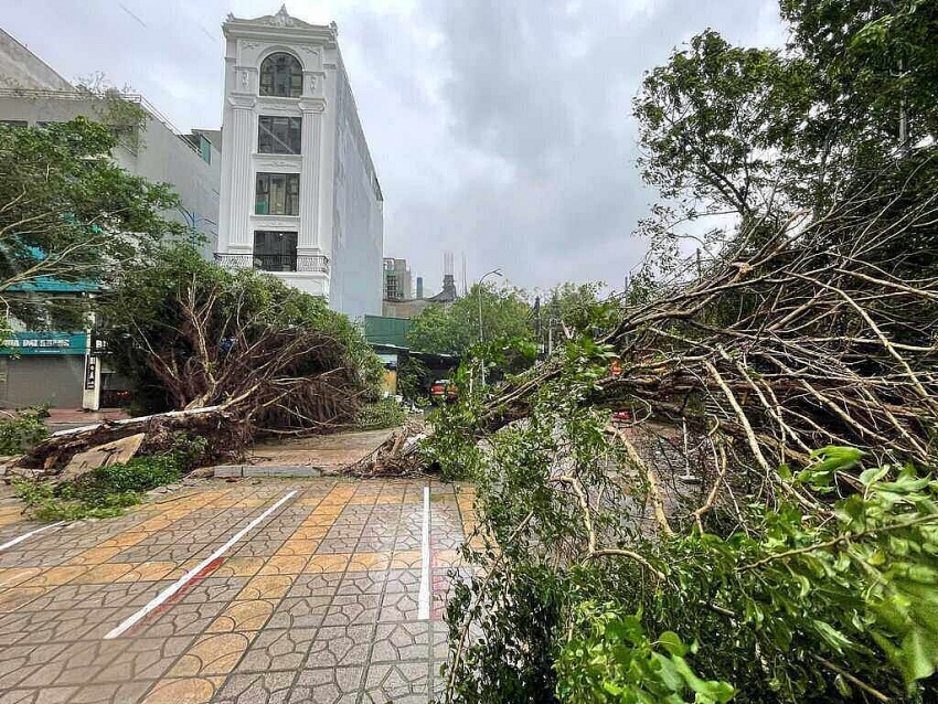 Đường phố Hà Nội tan hoang sau bão số 3 càn quét Đường phố Hà Nội tan hoang sau bão số 3 càn quét