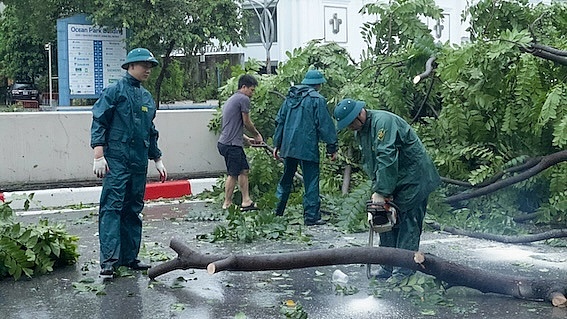 Đường phố Hà Nội tan hoang sau bão số 3 càn quét Đường phố Hà Nội tan hoang sau bão số 3 càn quét
