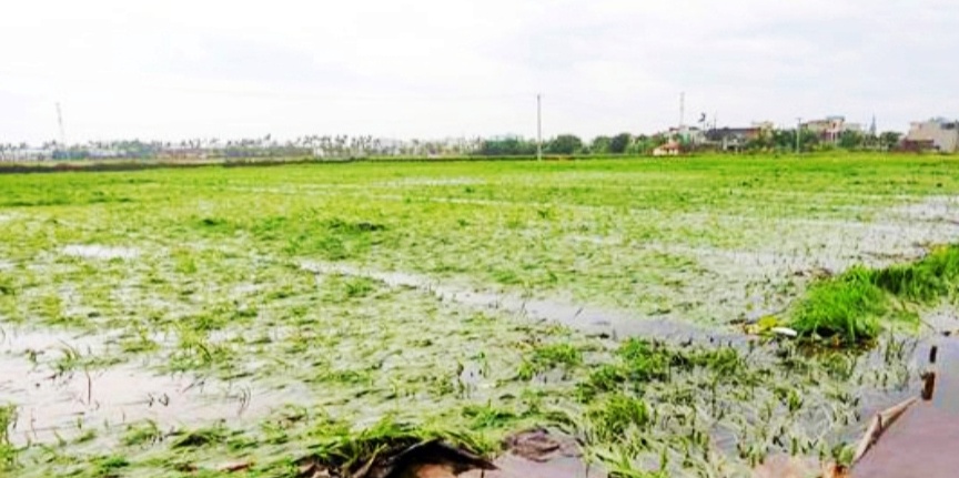 Chủ tịch UBND tỉnh Thái Bình chỉ đạo tập trung khắc phục thiệt hại sau bão số 3