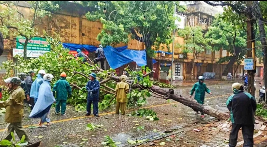 Chủ tịch UBND tỉnh Thái Bình chỉ đạo tập trung khắc phục thiệt hại sau bão số 3 Chủ tịch UBND tỉnh Thái Bình chỉ đạo tập trung khắc phục thiệt hại sau bão số 3