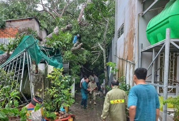 can tho mua kem theo dong loc lam sap toc mai 38 can nha