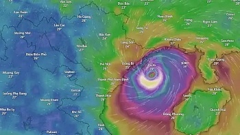 suot mot tuan an ngu cung sieu bao yagi